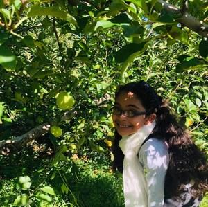 Meet your Posher, Hamada